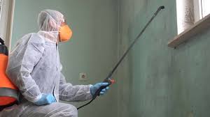 Best Mold Remediation for Healthcare Facilities  in Cordaville, MA